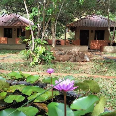 Hotel Niyagala Lodge Сигирия Экстерьер фото