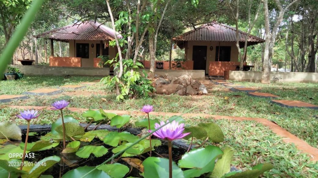 Hotel Niyagala Lodge Сигирия Экстерьер фото