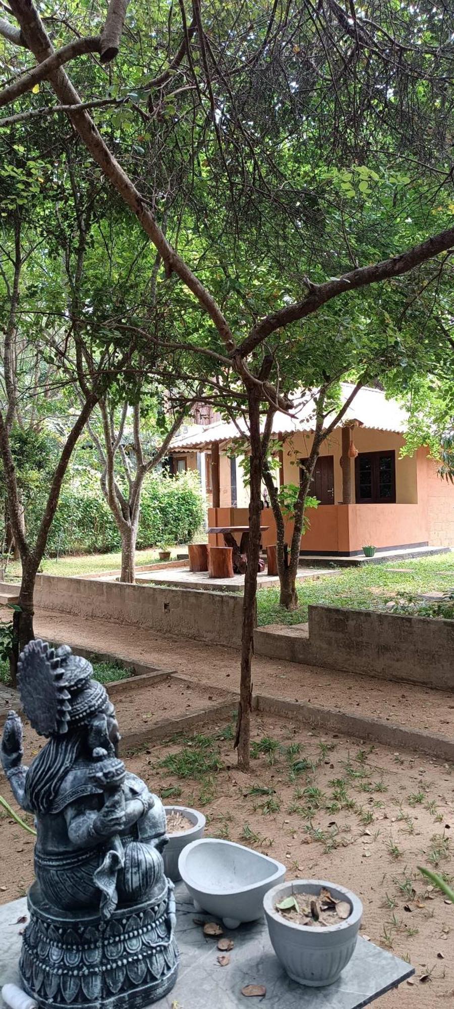 Hotel Niyagala Lodge Сигирия Экстерьер фото