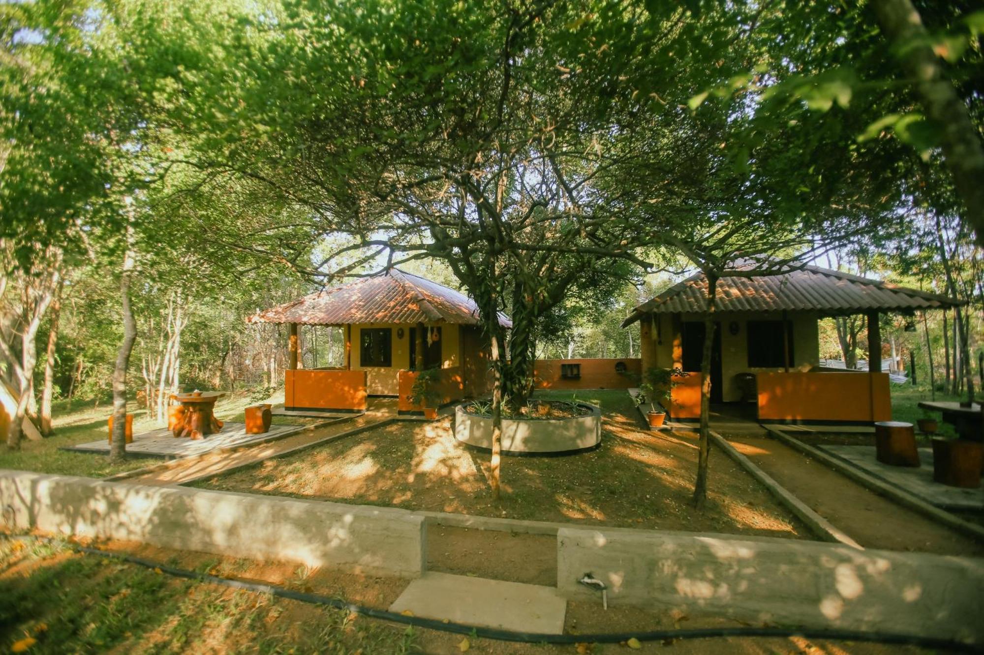 Hotel Niyagala Lodge Сигирия Экстерьер фото