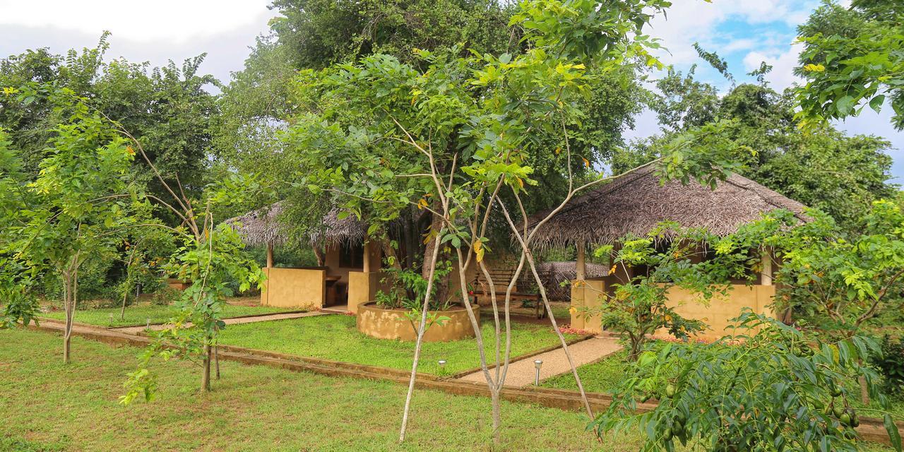 Hotel Niyagala Lodge Сигирия Экстерьер фото