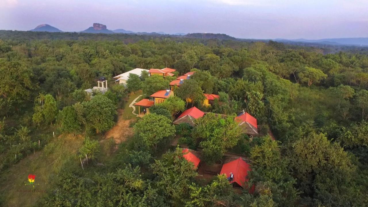 Hotel Niyagala Lodge Сигирия Экстерьер фото